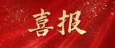 模板缩略图
