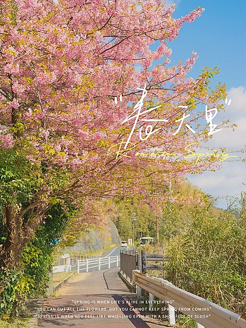 春天风景春日油画滤镜清新风plog模板