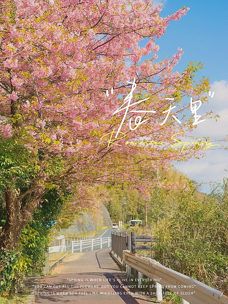 春天风景春日油画滤镜清新风plog模板