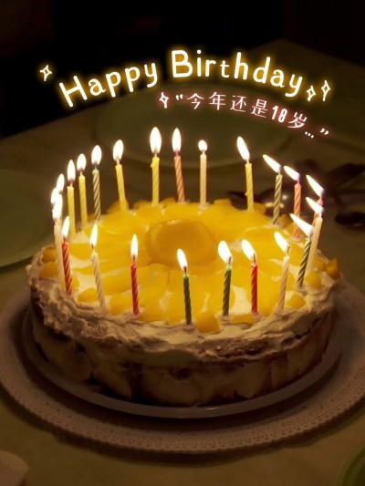 过生日生日祝福简约风plog模板