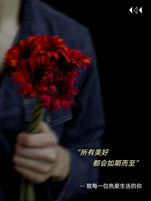 日常晒物生活分享简约风plog模板预览效果