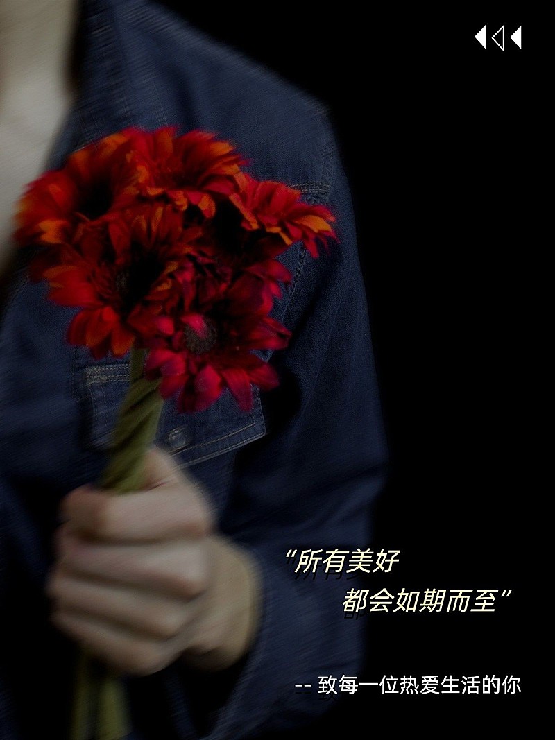 日常晒物生活分享简约风plog模板