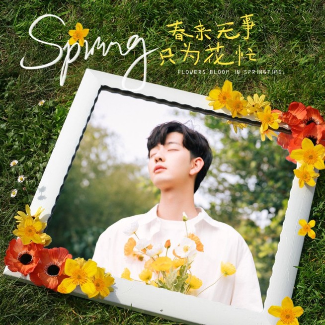 春天花朵黄花镜子草坪自拍郊游自拍晒照文艺风plog模板预览效果