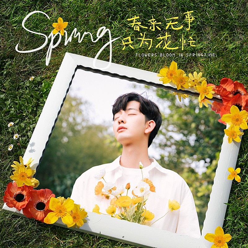 春天花朵黄花镜子草坪自拍郊游自拍晒照文艺风plog模板