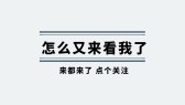 模板缩略图