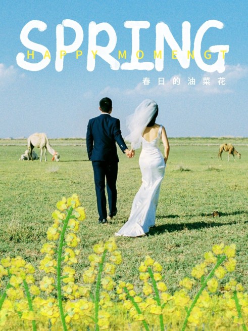 风景油画休闲日常文艺风plog模板预览效果