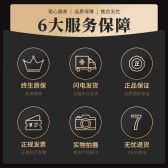 模板缩略图