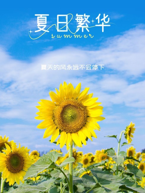 夏日出游季户外风景简约风plog模板预览效果