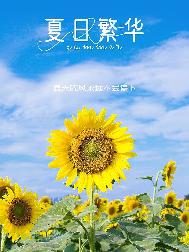 夏日出游季户外风景简约风plog模板