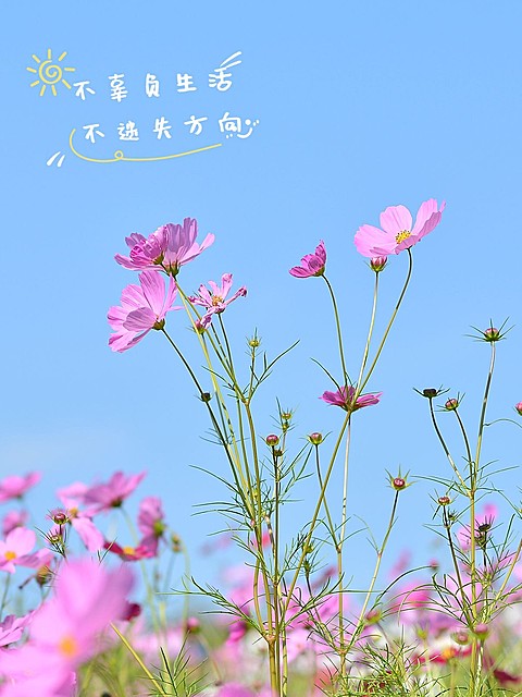 天空云朵风景照文艺风plog模板