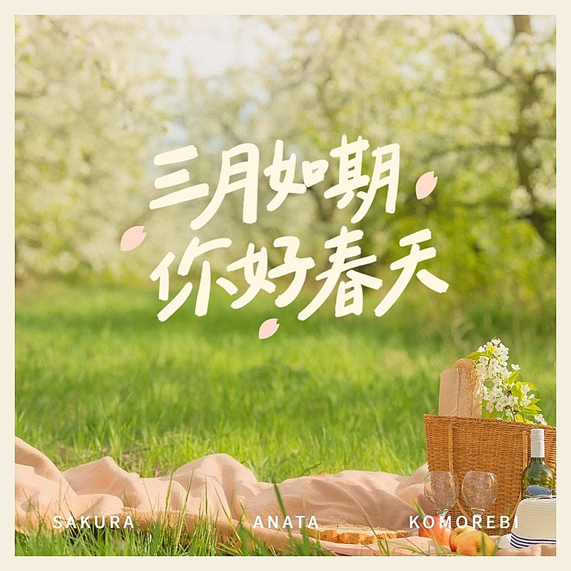 春天风景踏青晒照晒图plog模板