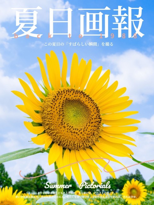 夏天向日葵晒花杂志风plog模板预览效果