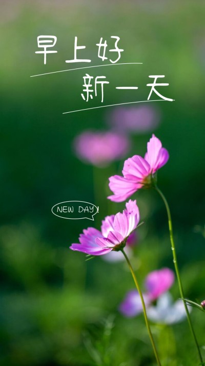 早上好早安问候手机海报