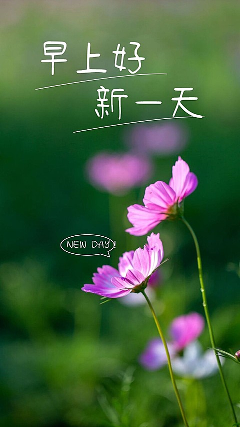 早上好早安问候手机海报