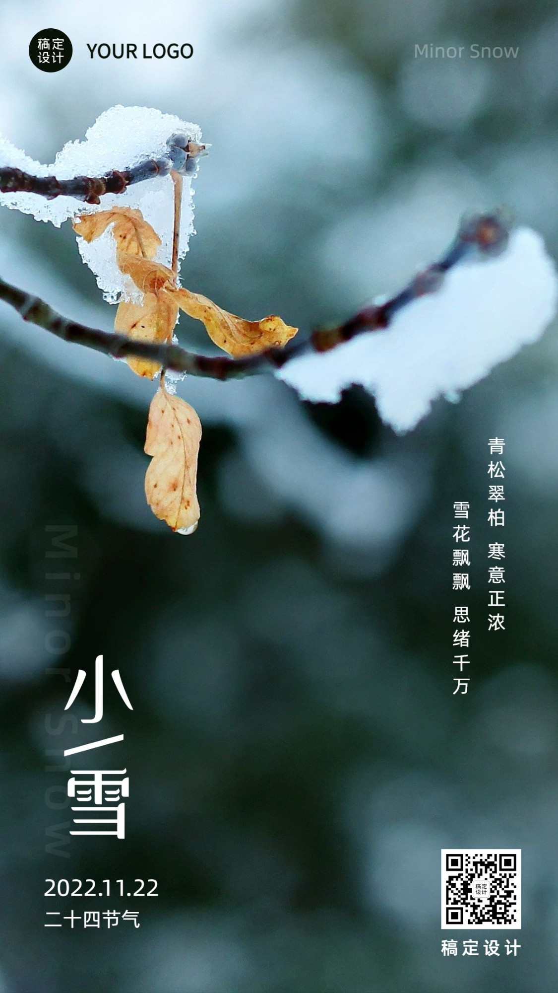 小雪节气祝福问候冬天实景手机海报预览效果