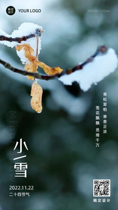小雪节气祝福问候冬天实景手机海报