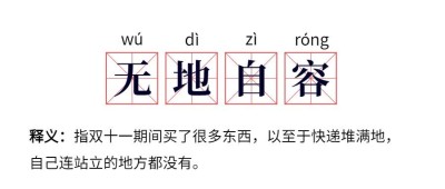 双十一无地自容网路热词公众号首图
