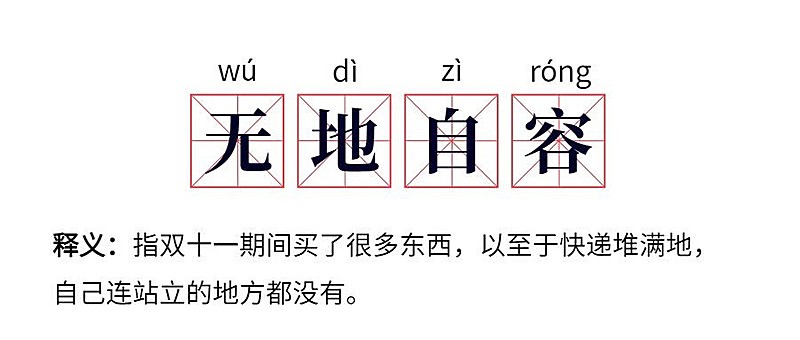 双十一无地自容网路热词公众号首图