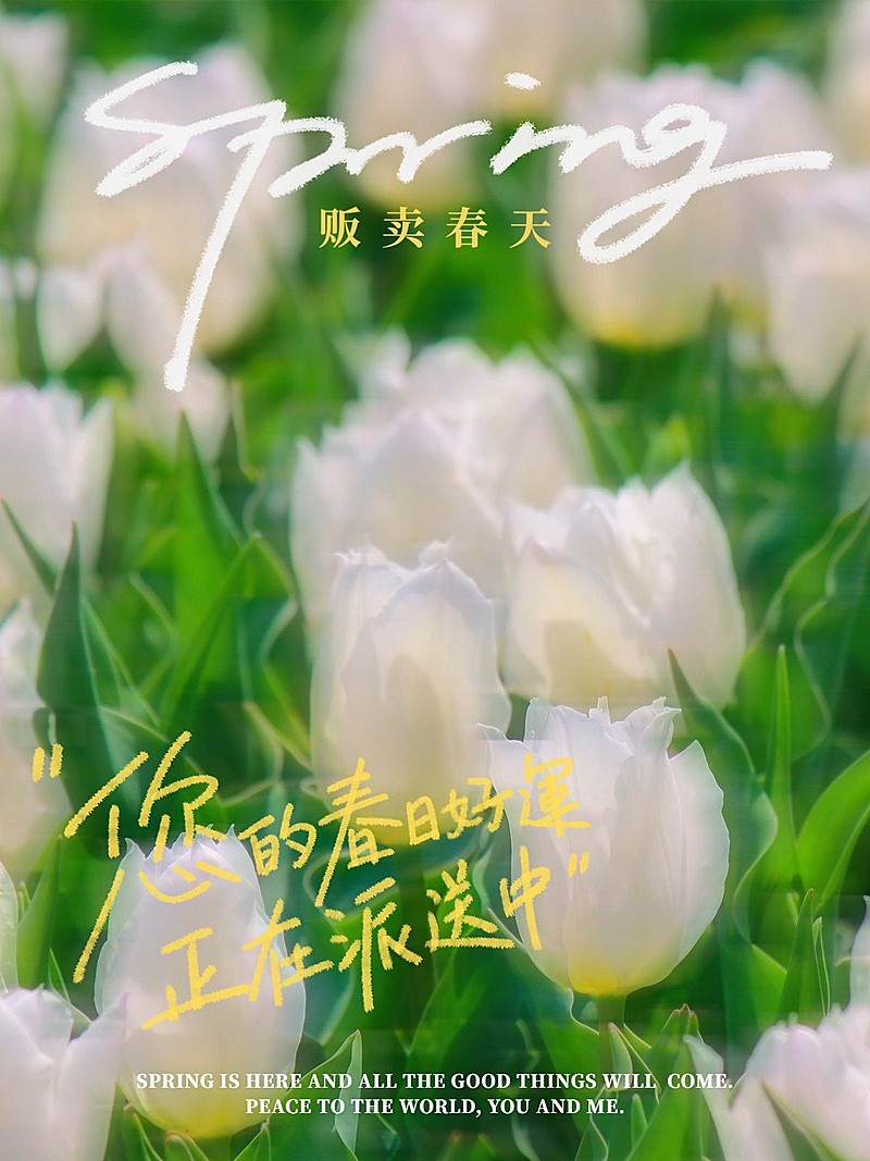 春天花风景清新风plog模板