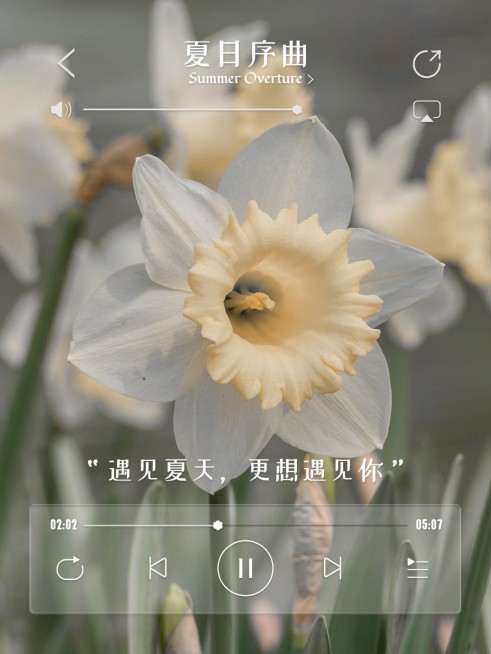 夏天风景晒图晒照花界面风plog模板预览效果