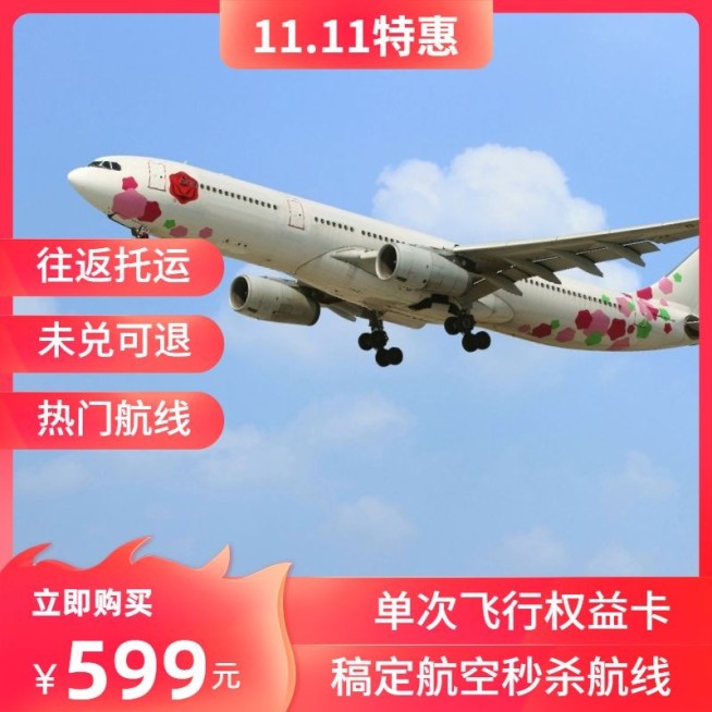 双十一旅游出行节点营销实景主图预览效果