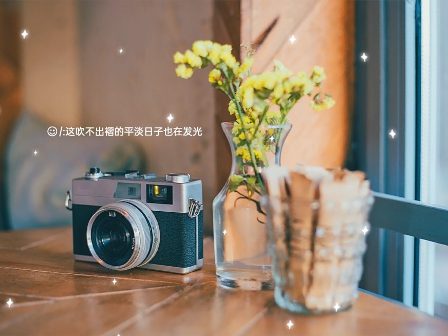 日常文案摄影生活分享简约风plog模板预览效果