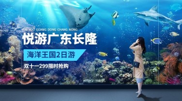 旅游双11海底世界促销广告banner