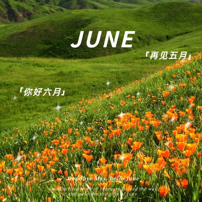 六月你好花从星星月初问候文艺风plog模板预览效果