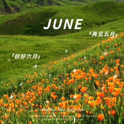 六月你好花从星星月初问候文艺风plog模板