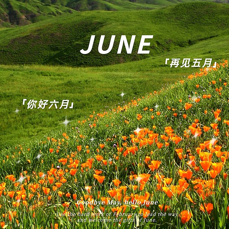 六月你好花从星星月初问候文艺风plog模板