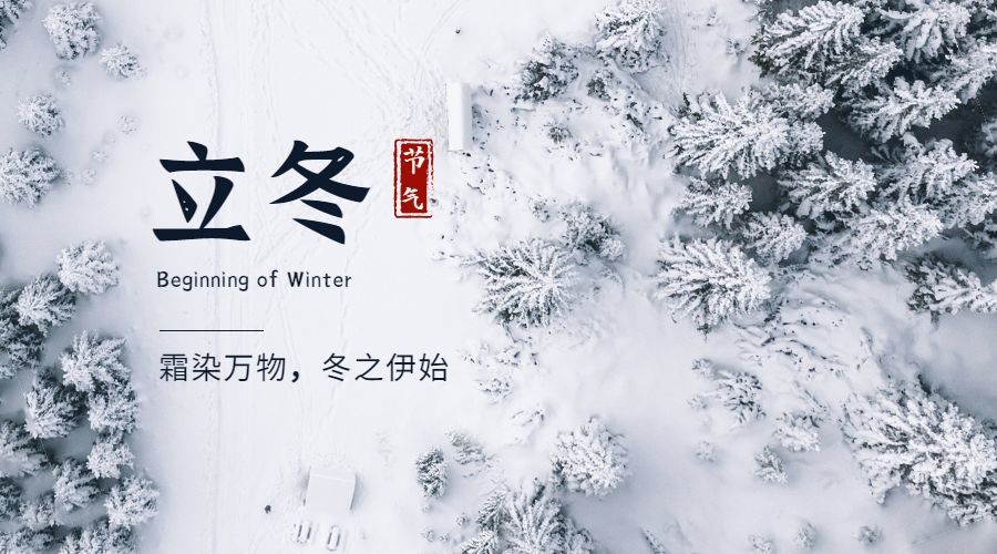 立冬节气雪林实景祝福广告banner