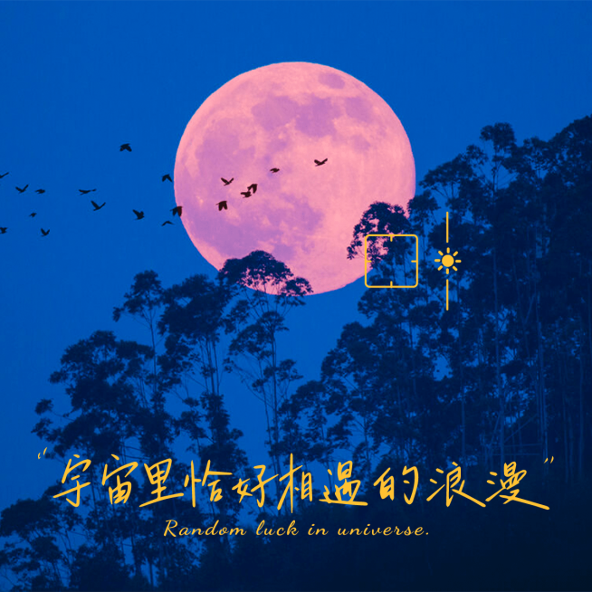 风景夜晚月亮树木晒图晒照plog模板预览效果