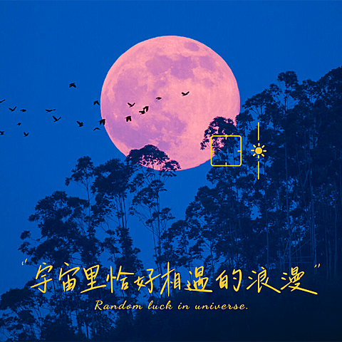 风景夜晚月亮树木晒图晒照plog模板