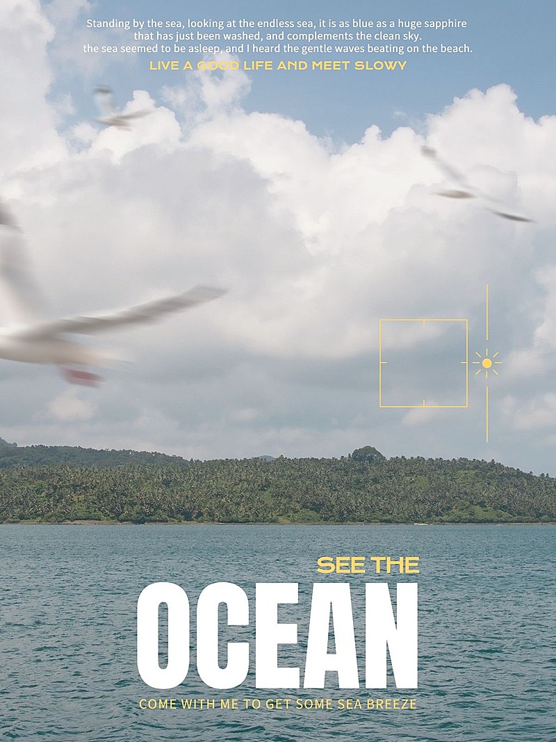 风景海与飞鸟杂质风plog模板