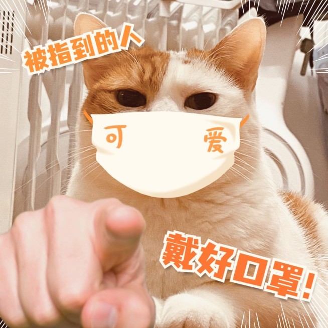 疫情防控日常分享可爱风plog模板预览效果