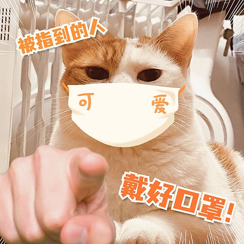 疫情防控日常分享可爱风plog模板