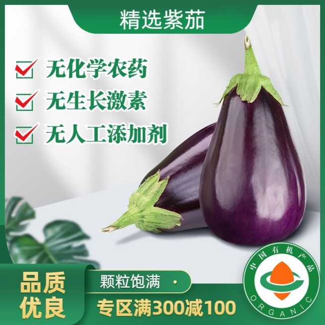 食品蔬菜茄子直通车主图预览效果