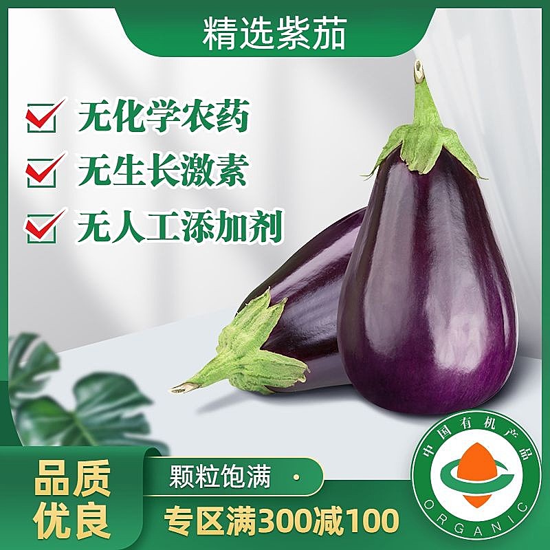 食品蔬菜茄子直通车主图
