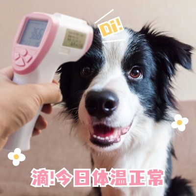 防疫疫情居家生活分享简约风plog模板