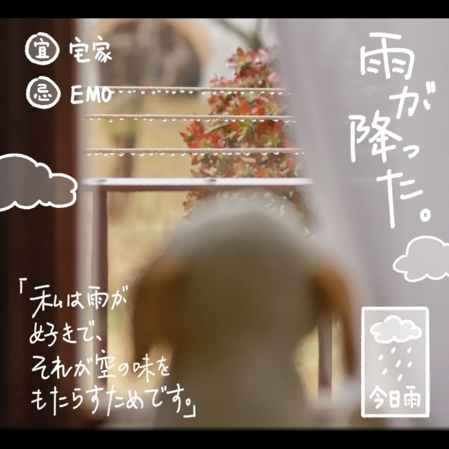 雨天居家生活分享可爱风plog模板预览效果