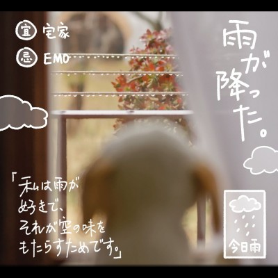 雨天居家生活分享可爱风plog模板