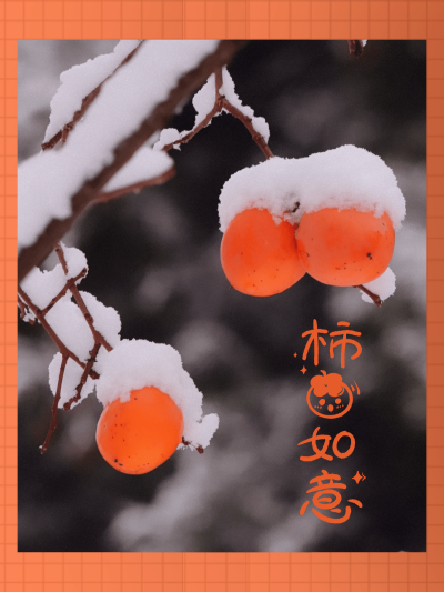 复古红滤镜春节晒图春节祝福新年祝福新年柿事如意plog模板