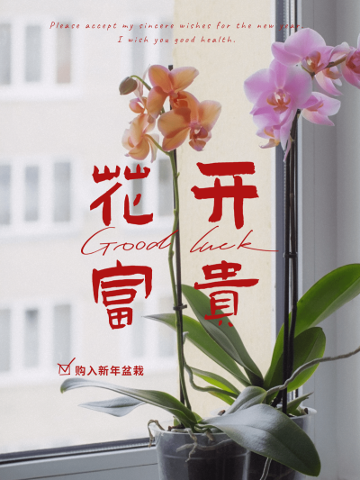 复古红滤镜春节晒图春节祝福新年祝福过年花开富贵plog模板