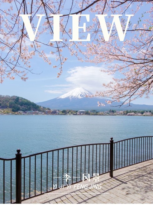 电影海报/杂志风景晒照简约风plog模板预览效果