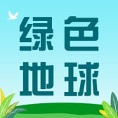 模板缩略图