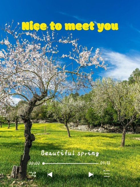 天空/云朵风景简约风plog模板预览效果