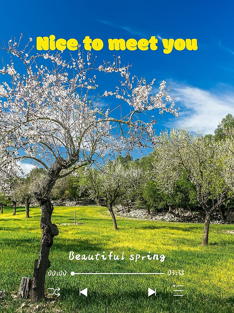 天空/云朵风景简约风plog模板