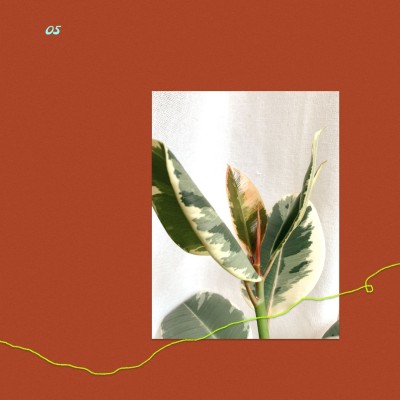 Simple Creative Home Plant Display Instagram Post