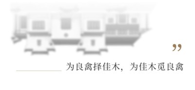 简约风高级感公众号文章标题