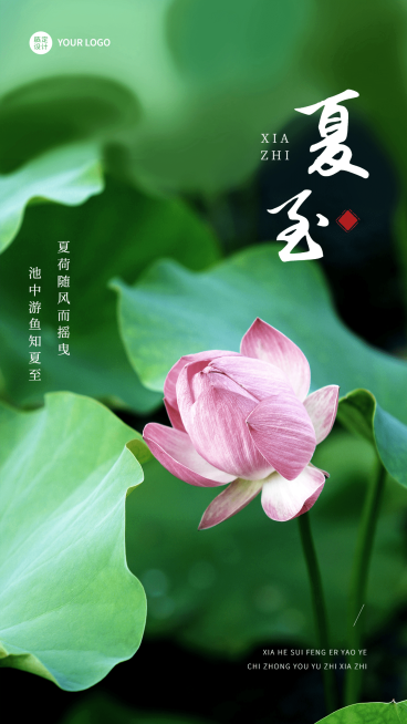 夏至节气祝福排版手机海报预览效果